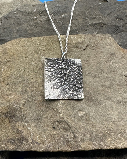 Olympic National Park Large Topographic Necklace