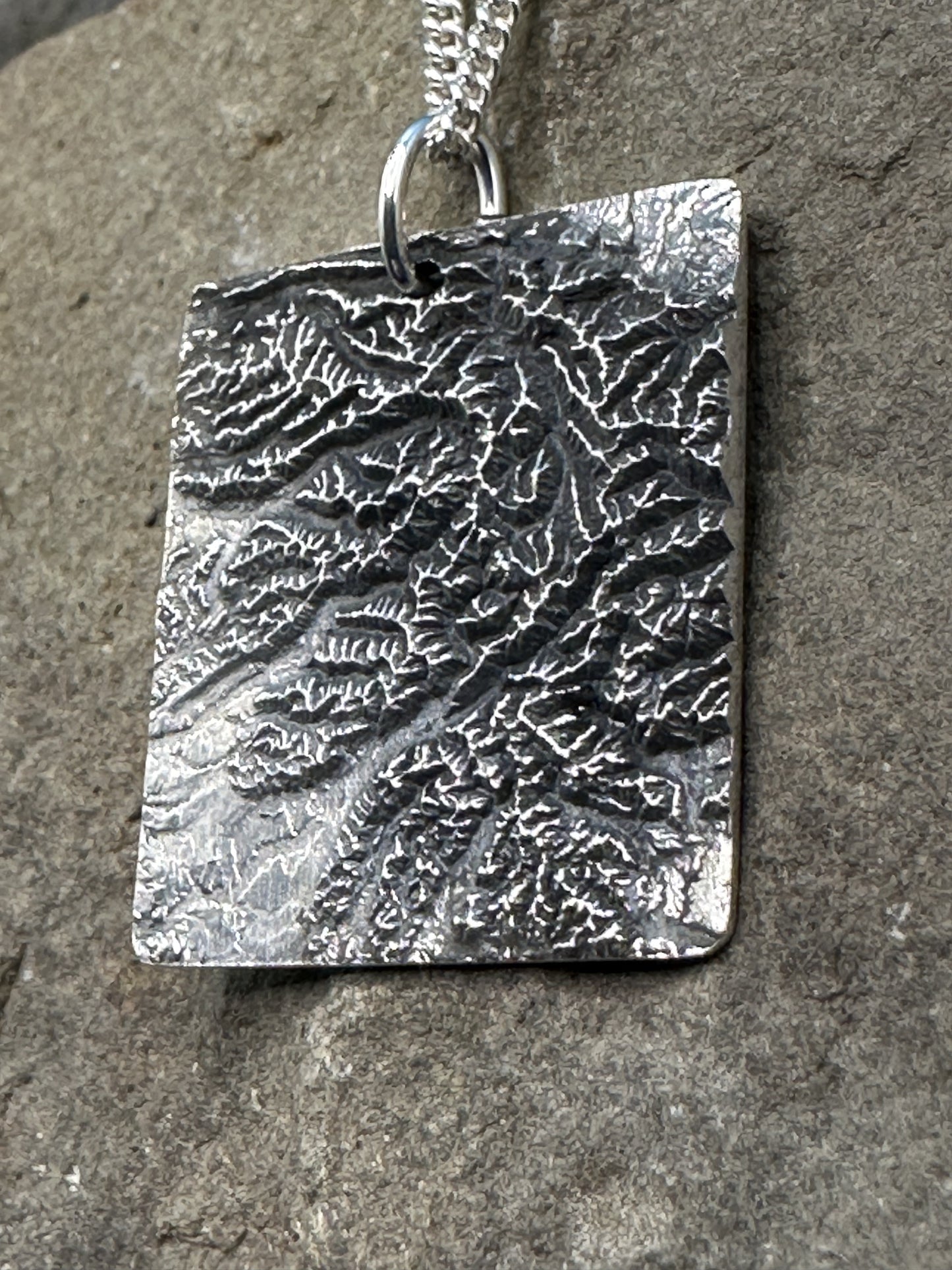 Olympic National Park Large Topographic Necklace
