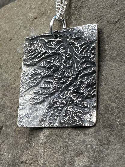 Olympic National Park Large Topographic Necklace
