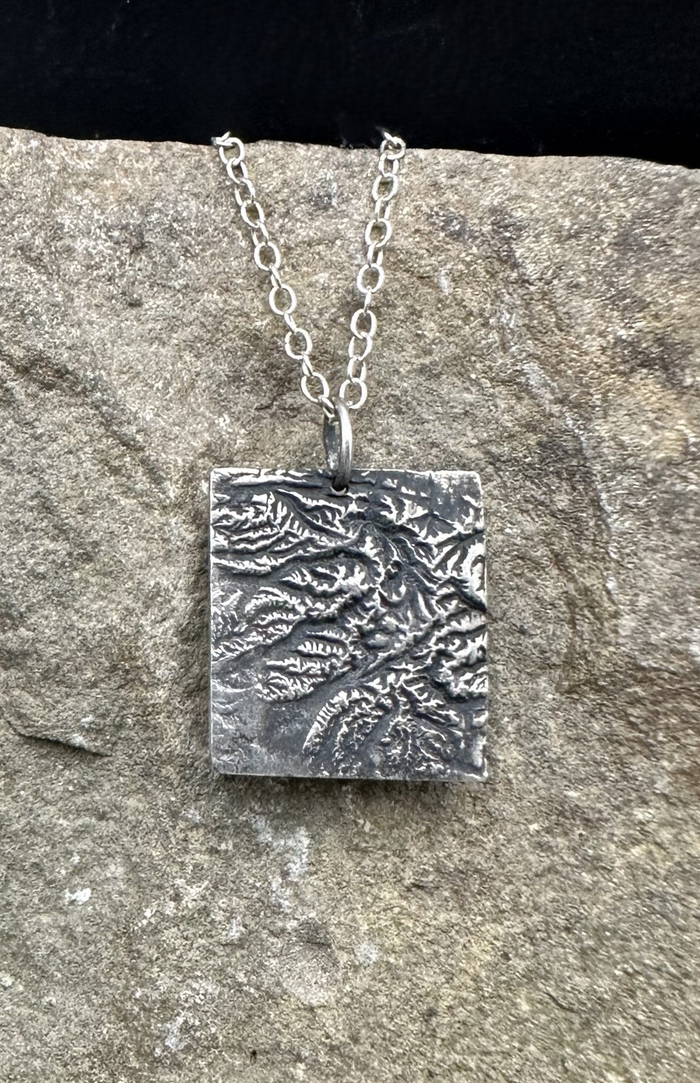 Olympic National Park Topographic Pendant