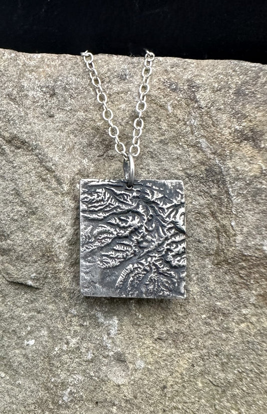 Olympic National Park Topographic Pendant