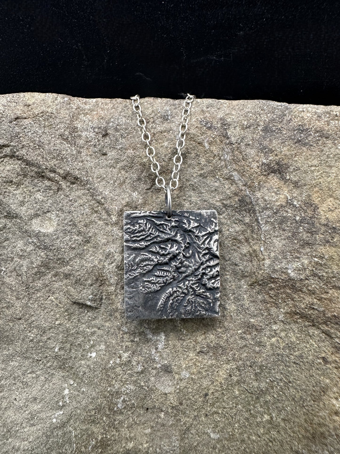 Olympic National Park Topographic Pendant