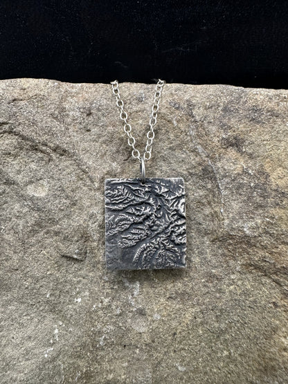 Olympic National Park Topographic Pendant