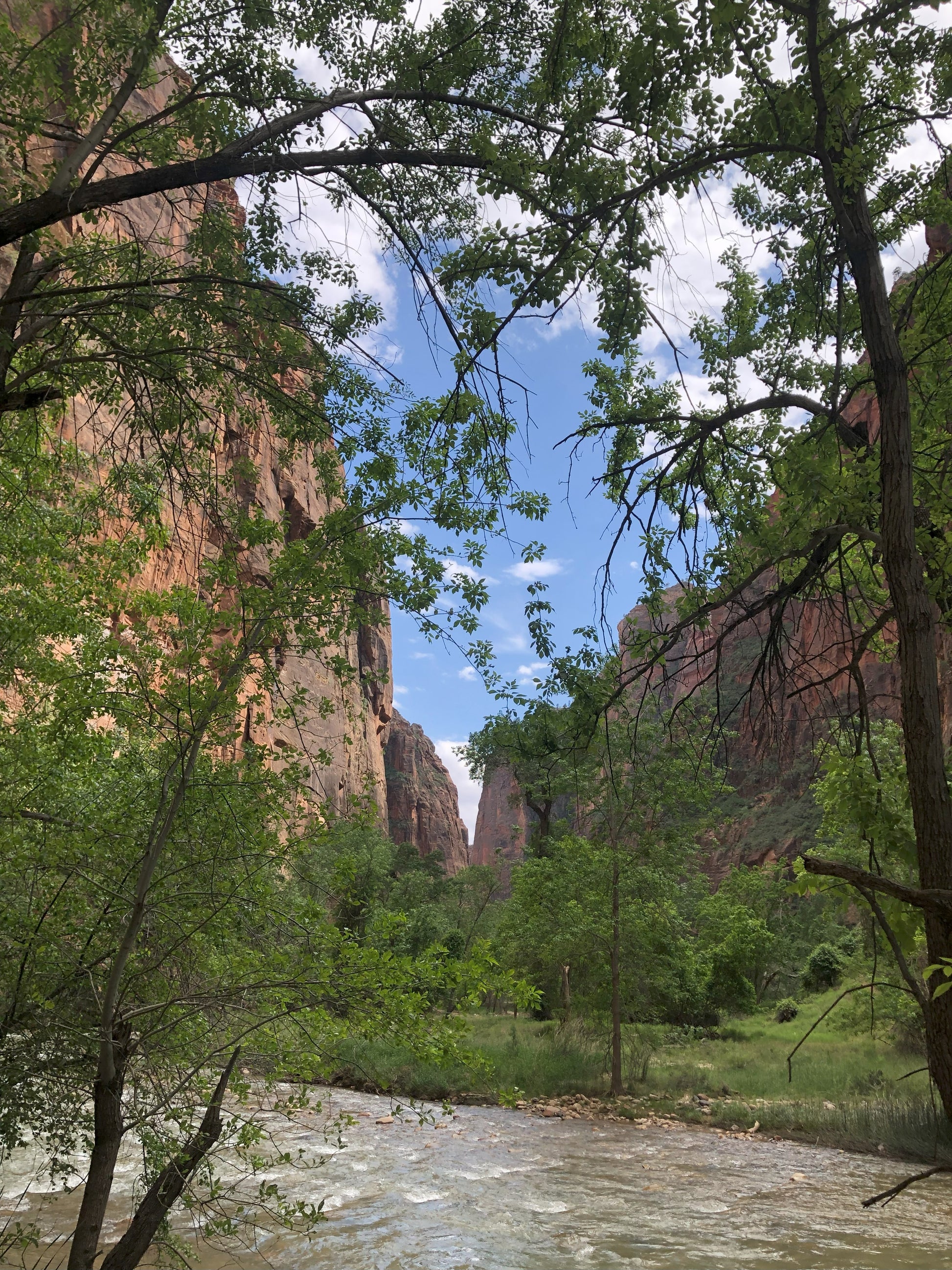 Zion National Park