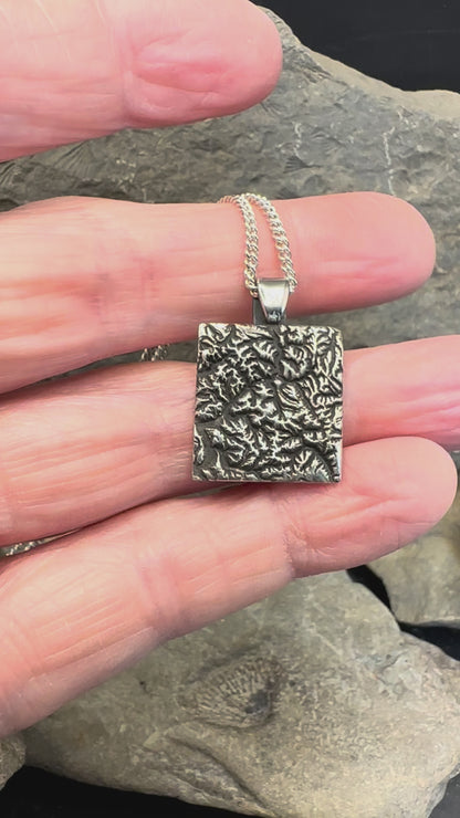 Video of 3D fine silver pendant of North Cascades National Park.  Accurately displays the elevations and contours of the park.  