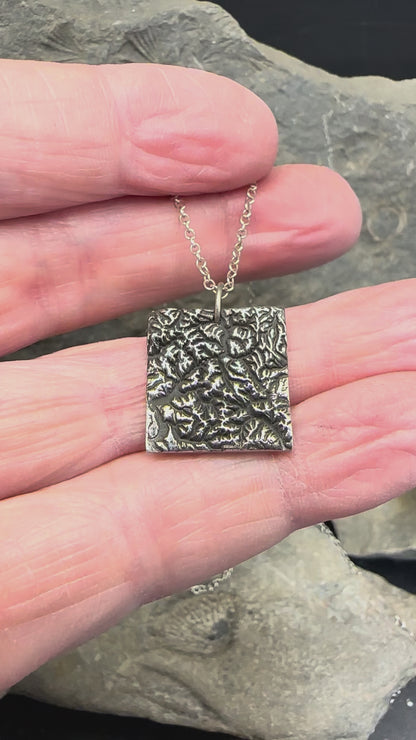 North Cascades National Park Topographic Pendant