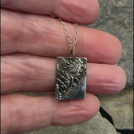 Video of 3D fine silver pendant of Kenai Fjords National Park.  Accurately displays the elevations and contours of the park.  