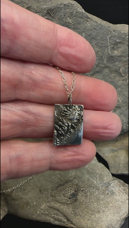 Video of 3D fine silver pendant of Kenai Fjords National Park.  Accurately displays the elevations and contours of the park.  